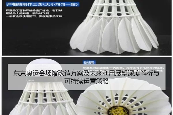 东京奥运会场馆改造方案及未来利用展望深度解析与可持续运营策略